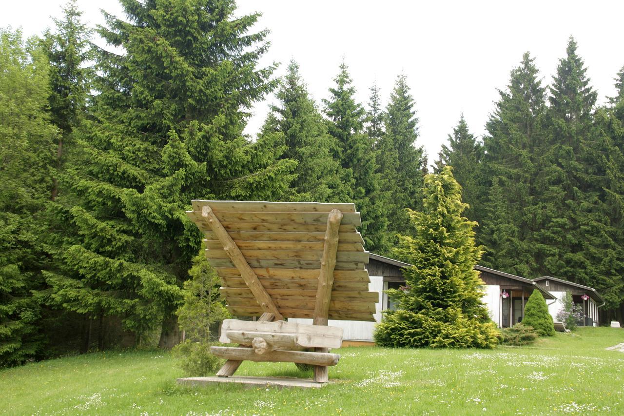 Waldhotel Rennsteighoehe Frauenwald Extérieur photo